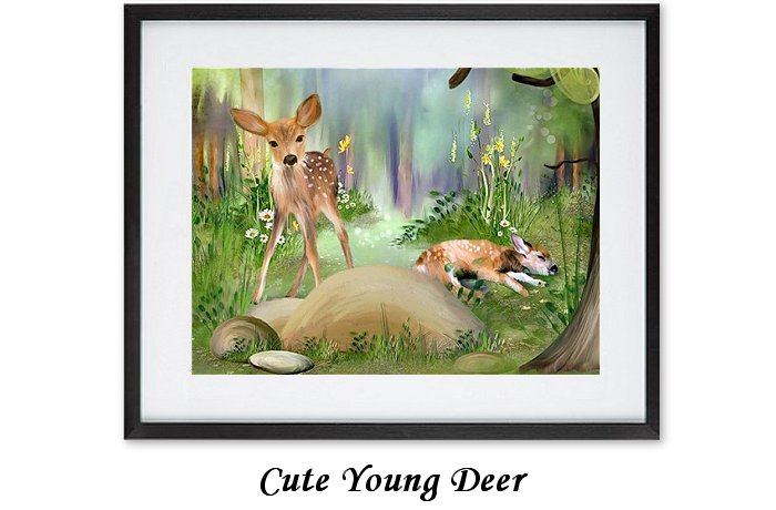 Cute Young Deer Framed Print